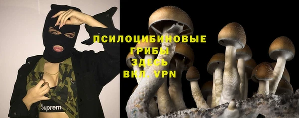 гидропоника Беломорск