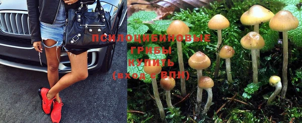 гидропоника Беломорск